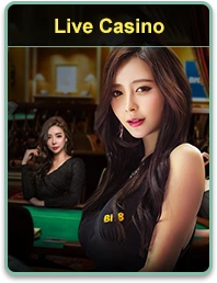 54BET
